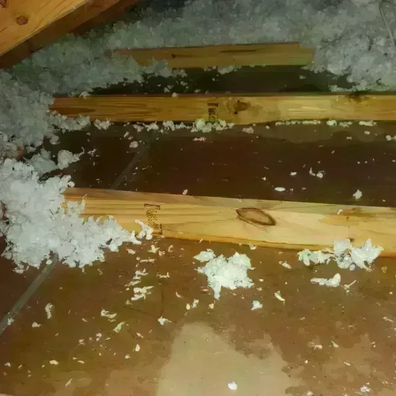 Attic Water Damage in Bamberg, SC